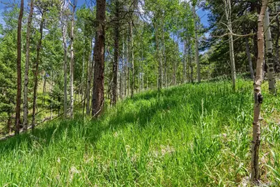135 Linda Trail, Bailey, CO 80421 - Photo 20