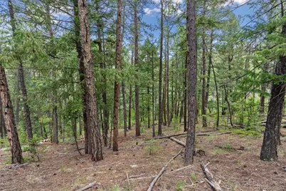 135 Linda Trail, Bailey, CO 80421 - Photo 14