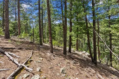 135 Linda Trail, Bailey, CO 80421 - Photo 12