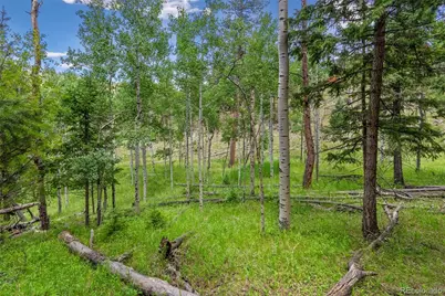 135 Linda Trail, Bailey, CO 80421 - Photo 16