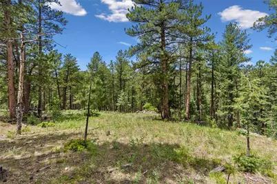 135 Linda Trail, Bailey, CO 80421 - Photo 8