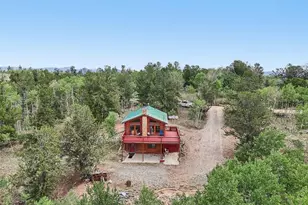 215 Gadwall Rd, Como, CO 80432 - Photo 34