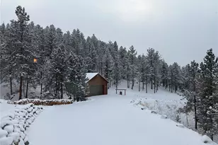 2894 Co Rd 43, Bailey, CO 80421 - Photo 36