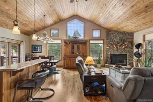 2894 Co Rd 43, Bailey, CO 80421 - Photo 8