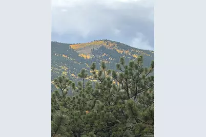 2894 County Road 43, Bailey, CO 80421 - Photo 38