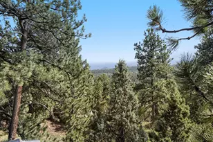 479 Doe Cir, Bailey, CO 80421 - Photo 28