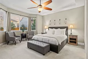 2896 Keepsake Wy, Castle Rock, CO 80109 - Photo 20