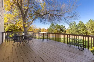 10015 Hughes Pl, Highlands Ranch, CO 80126 - Photo 36