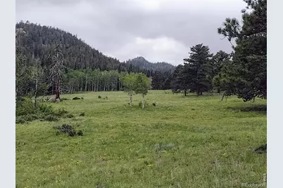 1001 County Road 86, Red Feather Lakes, CO 80545 - Photo 26