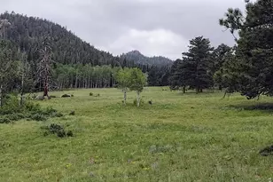 1001 County Road 86, Red Feather Lakes, CO 80545 - Photo 26