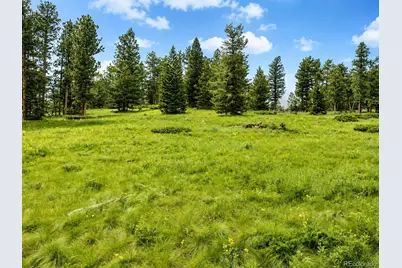 1001 County Road 86, Red Feather Lakes, CO 80545 - Photo 22