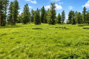 1001 County Road 86, Red Feather Lakes, CO 80545 - Photo 22