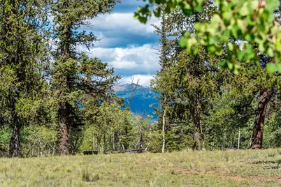 207 Overland Circle, Jefferson, CO 80456 - Photo 14