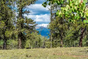 207 Overland Cir, Jefferson, CO 80456 - Photo 14