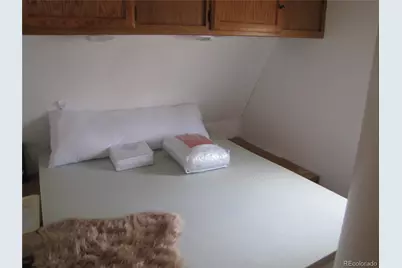 162 Clubcar Road, Hartsel, CO 80449 - Photo 22