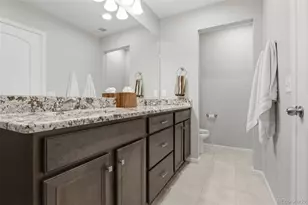 19037 Randolph Pl, Denver, CO 80249 - Photo 22