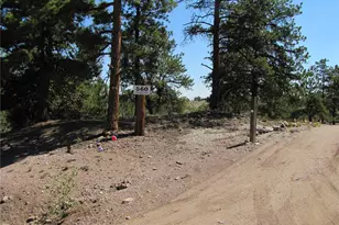 560 Concho Trail, Hartsel, CO 80449 - Photo 36