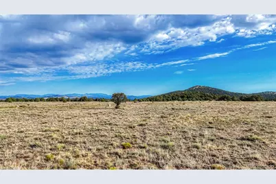 705 Riggs Road N, Westcliffe, CO 81252 - Photo 24