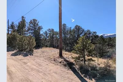 261 Appleby Street, Bailey, CO 80421 - Photo 6