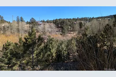 261 Appleby Street, Bailey, CO 80421 - Photo 2