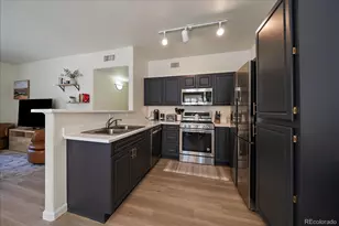 3701 Cactus Creek Ct, Highlands Ranch, CO 80126 - Photo 8