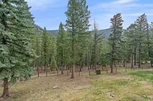 254 Juniper Ln, Evergreen, CO 80439 - Photo 30