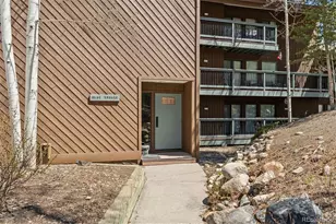 423 Wild Irishman Rd, Dillon, CO 80435 - Photo 22