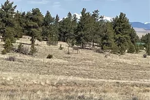 00 Guipago Trail, Hartsel, CO 80449 - Photo 1