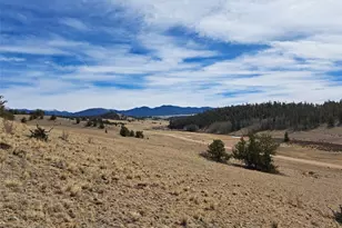 3646 Remington Rd, Como, CO 80432 - Photo 1