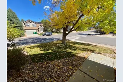 4641 N Diamond Leaf Drive, Castle Rock, CO 80109 - Photo 2
