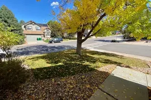4641 N Diamond Leaf Dr, Castle Rock, CO 80109 - Photo 2