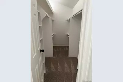 4641 N Diamond Leaf Drive, Castle Rock, CO 80109 - Photo 16