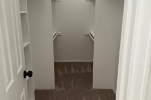 4641 N Diamond Leaf Dr, Castle Rock, CO 80109 - Photo 16