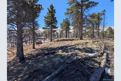 659 Richard Drive, Fort Garland, CO 81133 - Photo 8