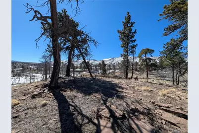 659 Richard Drive, Fort Garland, CO 81133 - Photo 6