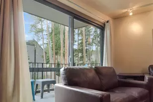 1173 Ski Hill Rd, Breckenridge, CO 80424 - Photo 10