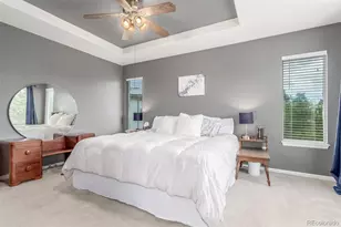 10660 Jewelberry Cir, Highlands Ranch, CO 80130 - Photo 14