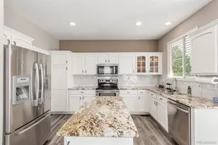 10660 Jewelberry Cir, Highlands Ranch, CO 80130 - Photo 8