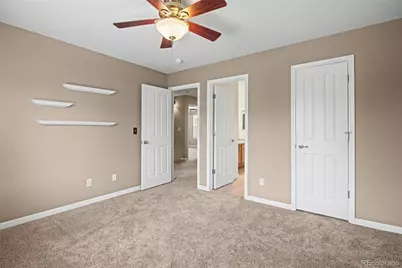 23162 Briar Leaf Avenue, Parker, CO 80138 - Photo 40