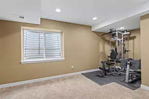 23162 Briar Leaf Ave, Parker, CO 80138 - Photo 42