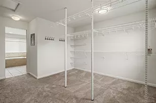 23162 Briar Leaf Ave, Parker, CO 80138 - Photo 26