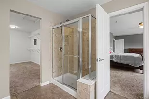 23162 Briar Leaf Ave, Parker, CO 80138 - Photo 24