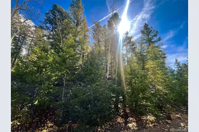 Lot 6187 Starkbeather Road, Fort Garland, CO 81133 - Photo 12