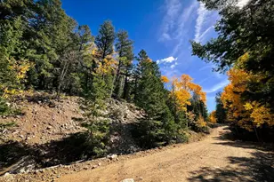 Lot 6187 Starkbeather Rd, Fort Garland, CO 81133 - Photo 1