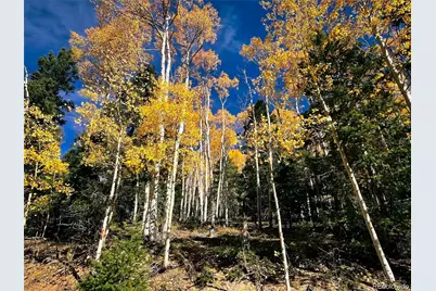 Lot 6187 Starkbeather Road, Fort Garland, CO 81133 - Photo 18