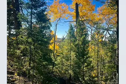 Lot 6187 Starkbeather Road, Fort Garland, CO 81133 - Photo 4