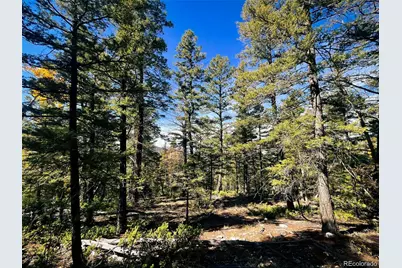 Lot 6187 Starkbeather Road, Fort Garland, CO 81133 - Photo 6