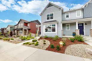 9787 Banner Peak St, Littleton, CO 80125 - Photo 28