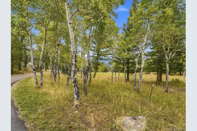 35000 Fox Ridge Road, Evergreen, CO 80439 - Photo 38