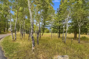 35000 Fox Ridge Rd, Evergreen, CO 80439 - Photo 38